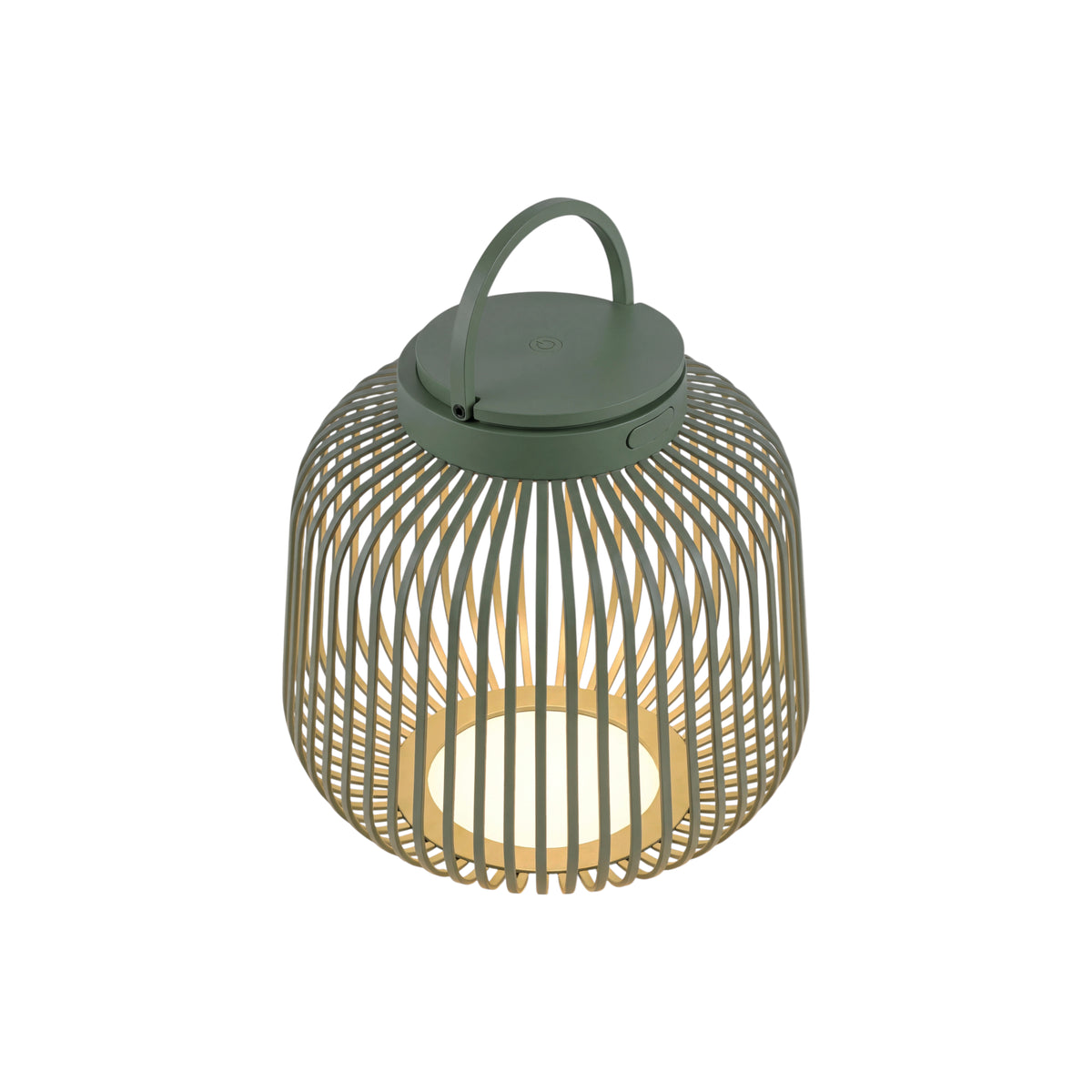 Blomus Lito LED lamp S agave green
