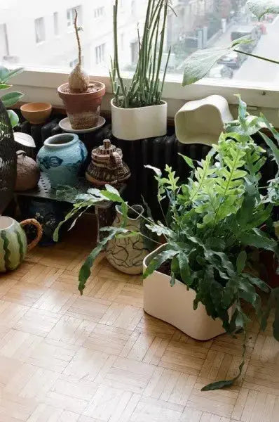 Artek Riihitie B pieni valkoinen - Laatukaluste