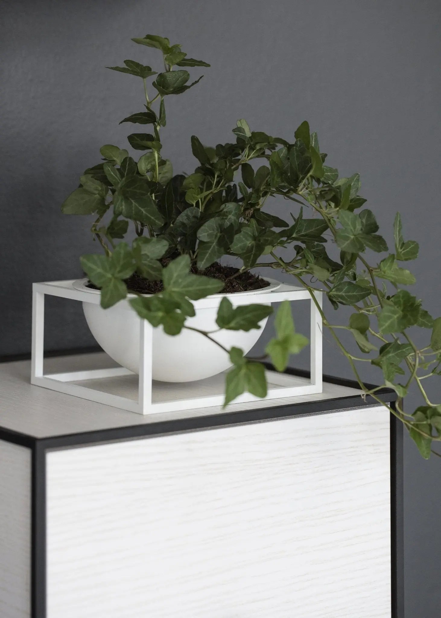 By Lassen Kubus Bowl Centerpiece iso valkoinen - Laatukaluste