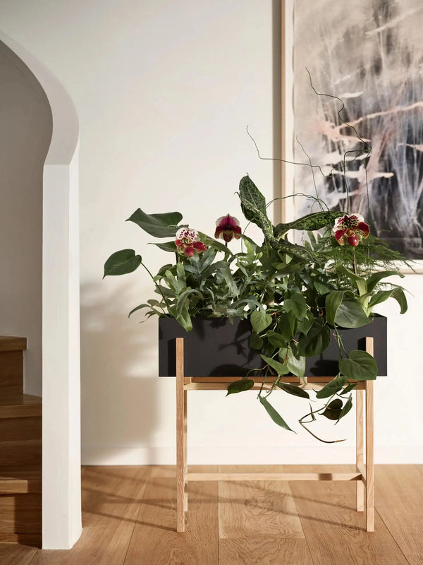Design House Stockholm Botanic Stand musta/saarni Design House Stockholm