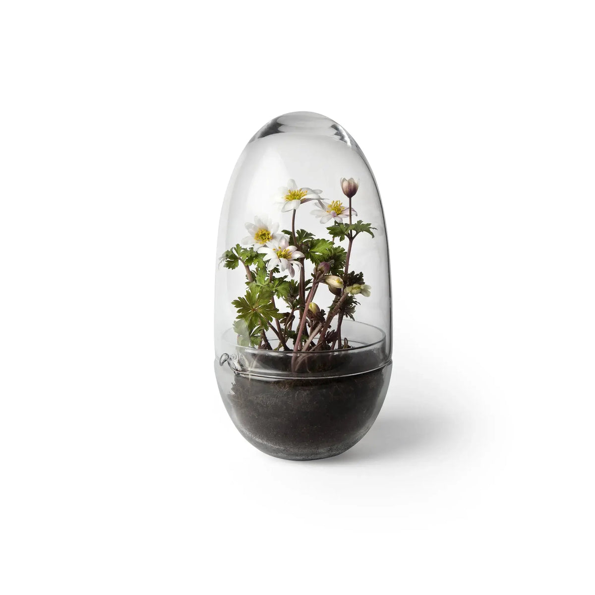 Design House Stockholm Grow pienoiskasvihuone M - Laatukaluste