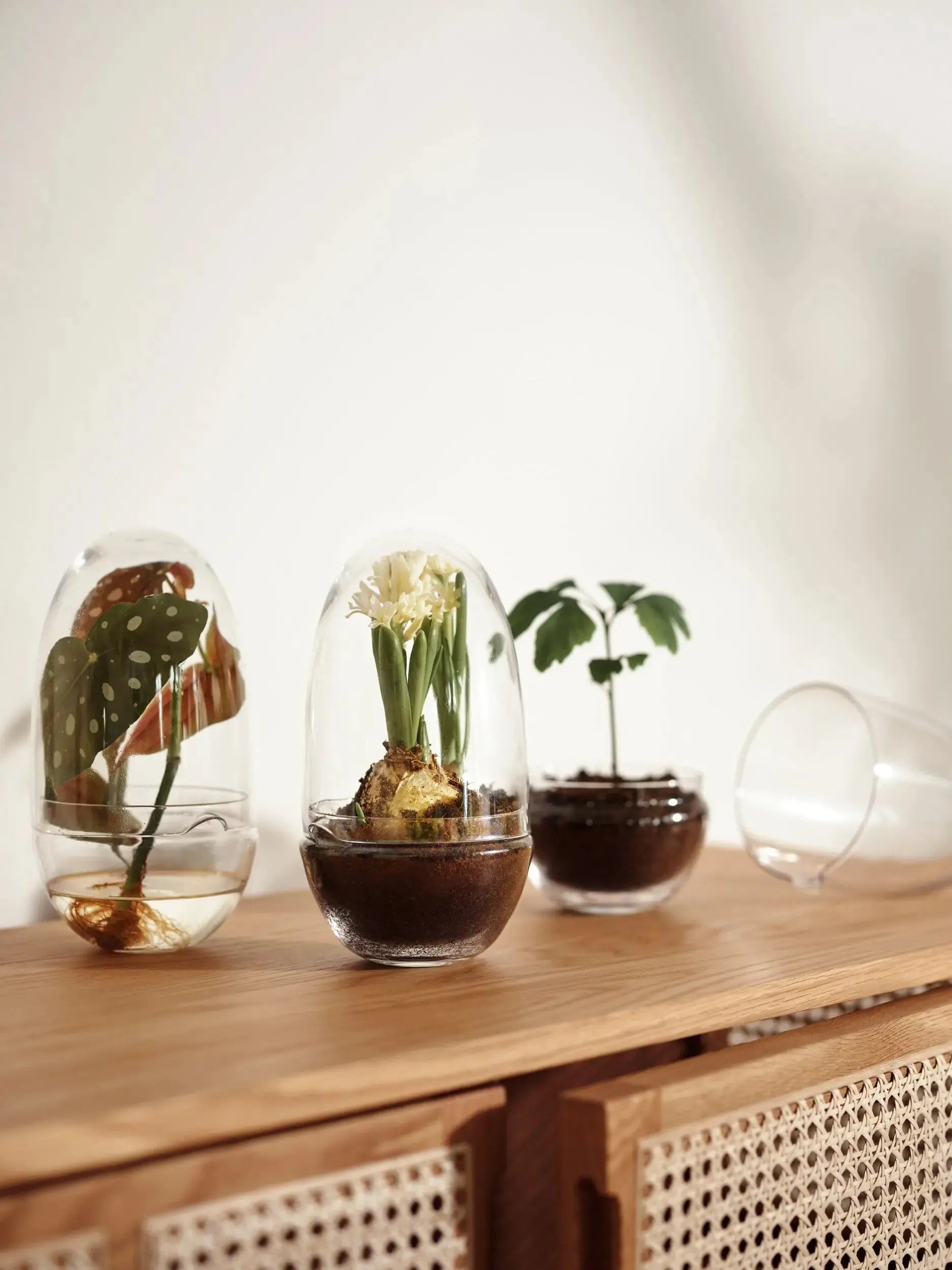 Design House Stockholm Grow pienoiskasvihuone M Design House Stockholm