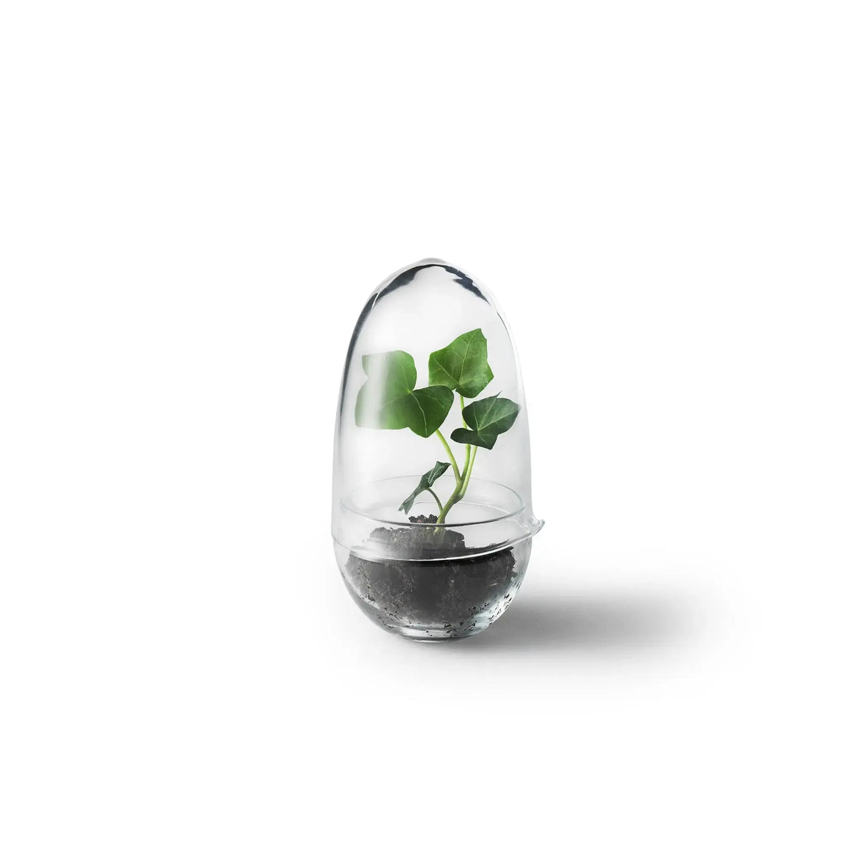 Design House Stockholm Grow pienoiskasvihuone S - Laatukaluste