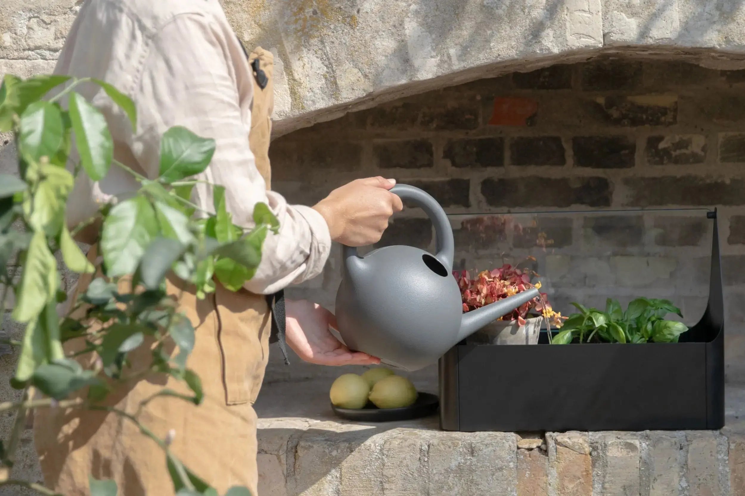 Eva Solo Simply Grow minikasvihuone musta Eva Solo