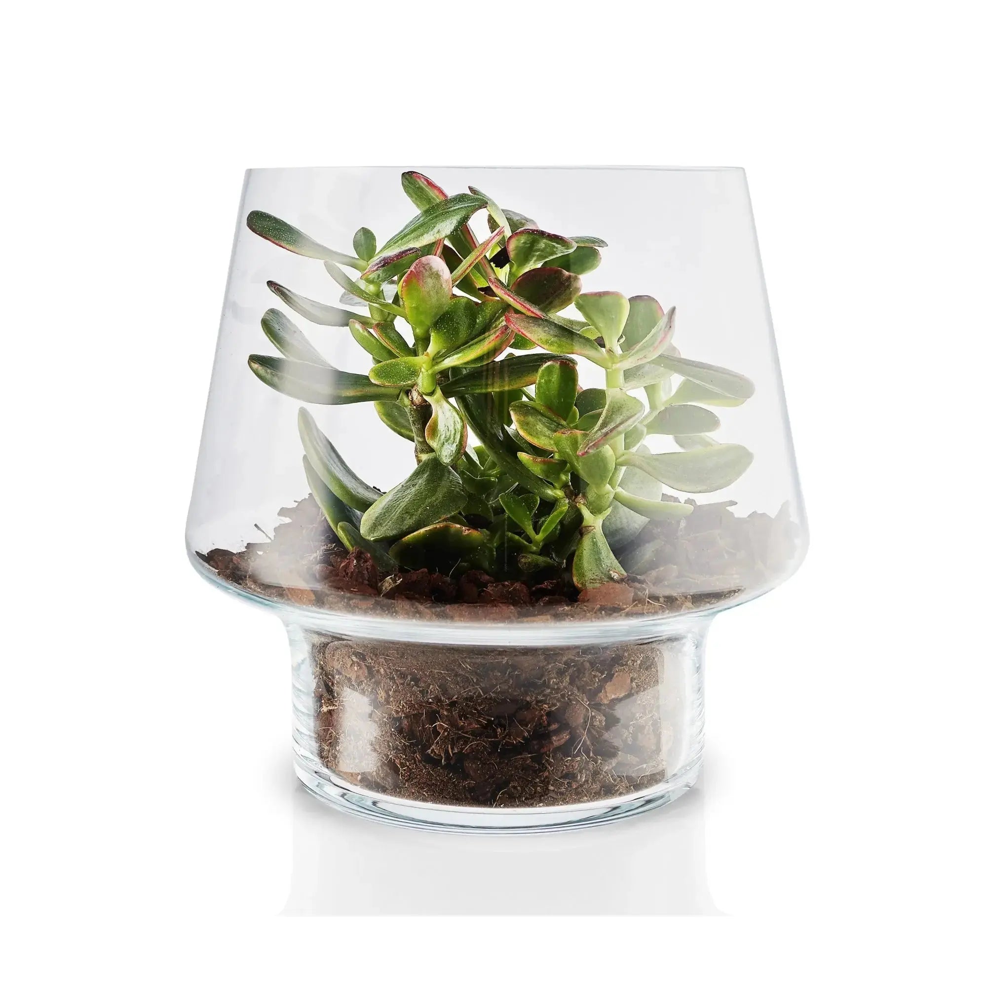 Eva Solo Mehikasviruukku Ø21 - Laatukaluste