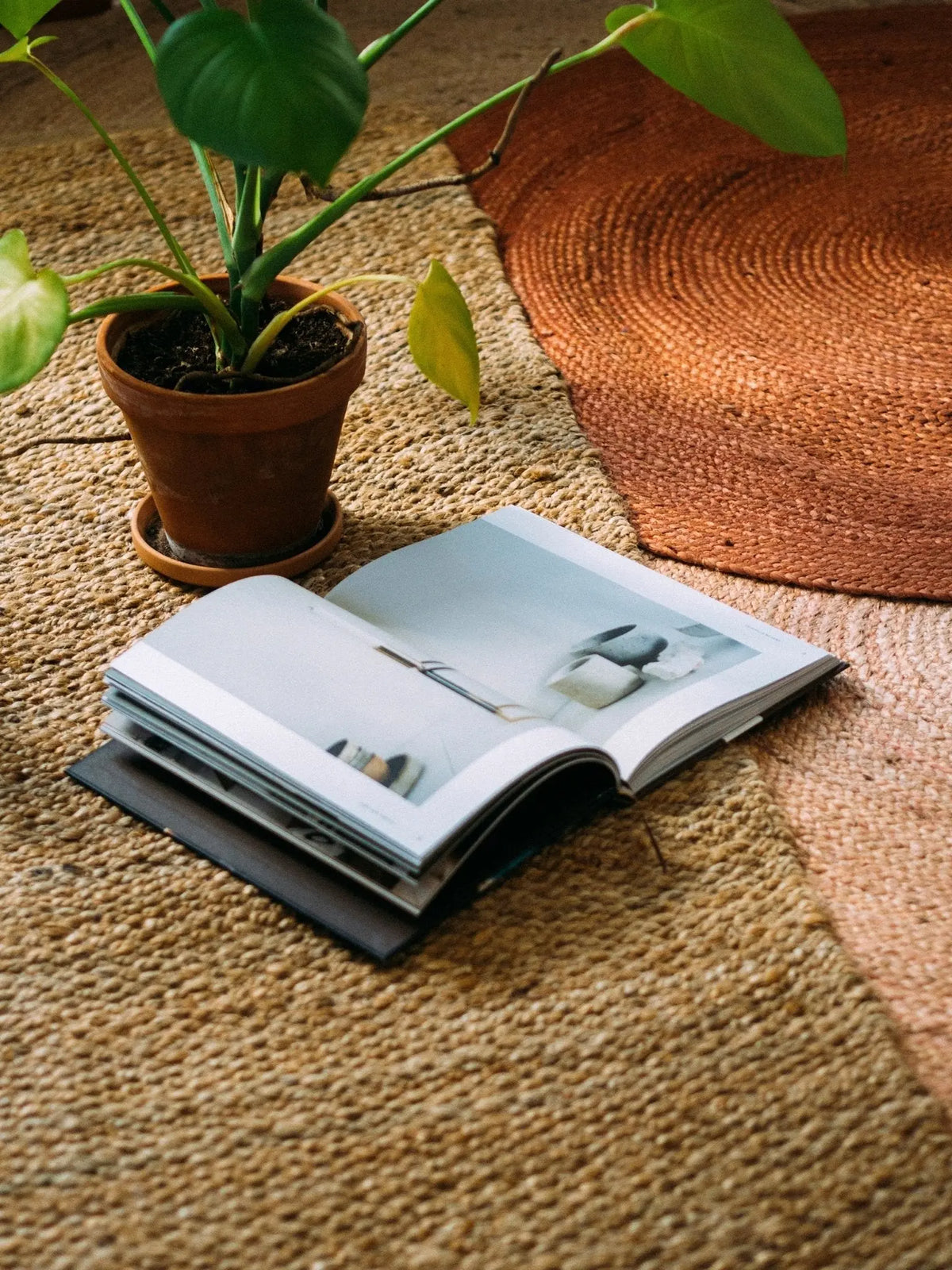 Finarte Harvest matto 170x240 - Laatukaluste