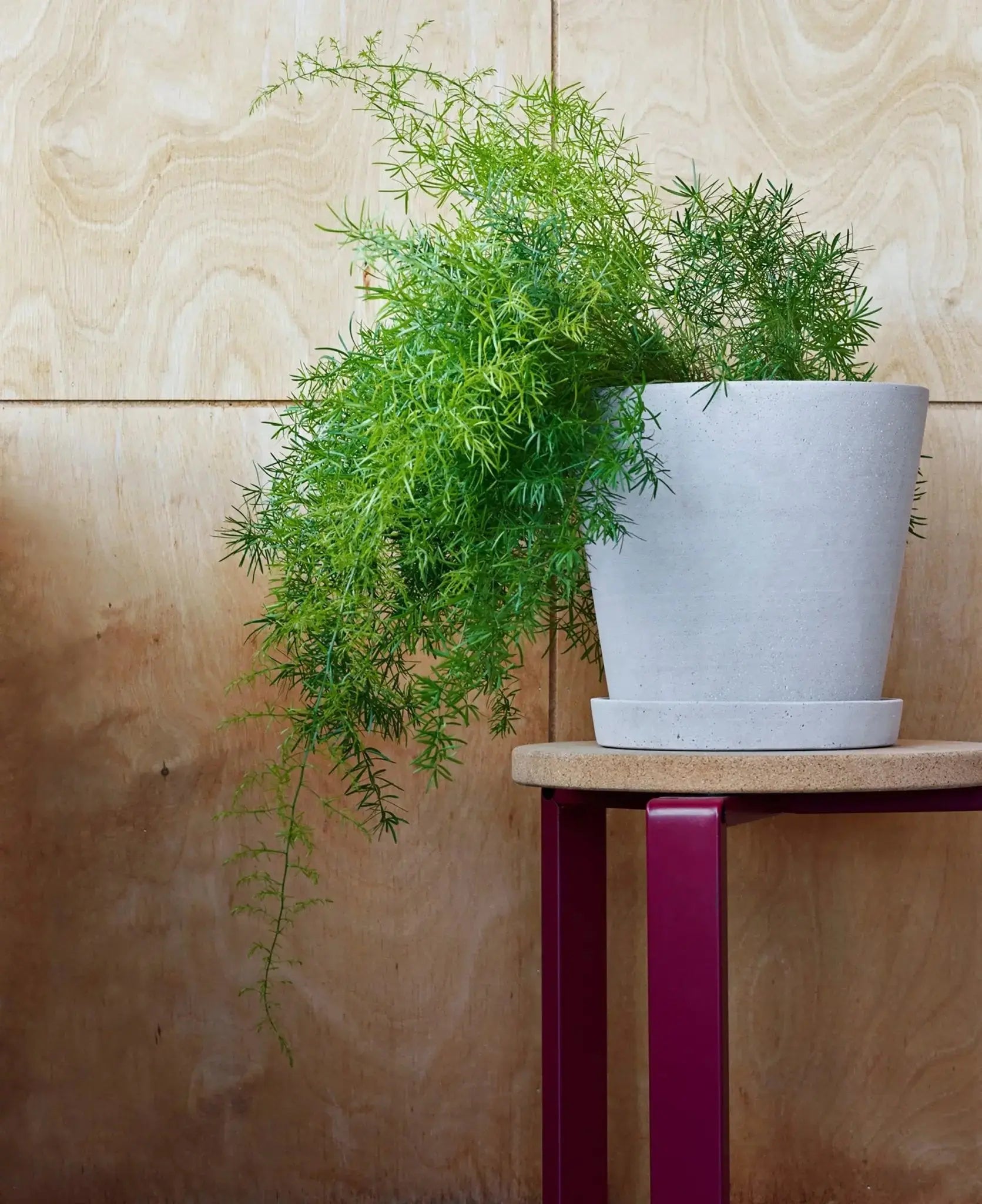 HAY Flowerpot XL ruukku+lautanen harmaa - Laatukaluste