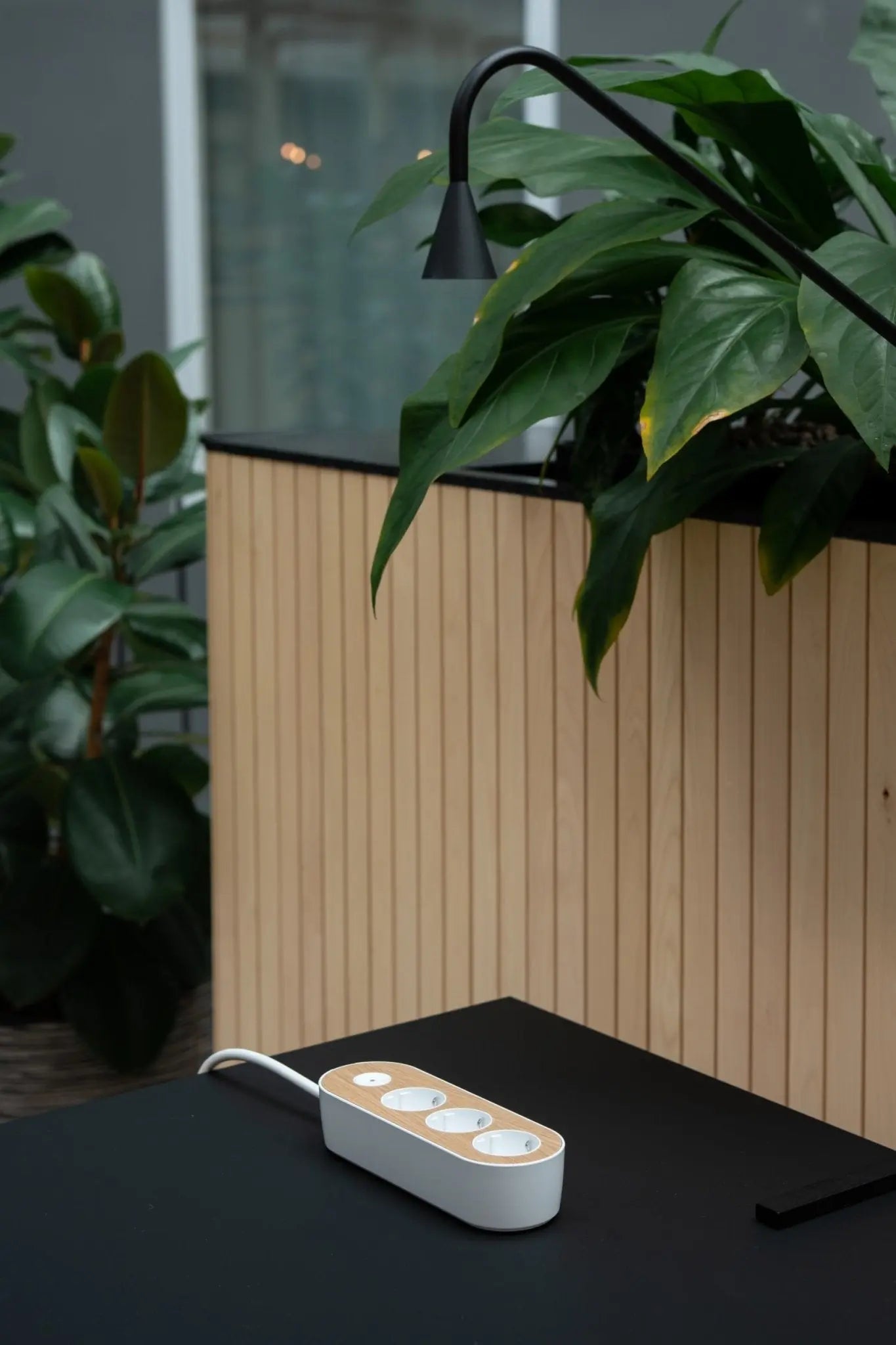 MyNolla Strip jatkojohto valkoinen/tammi - Laatukaluste