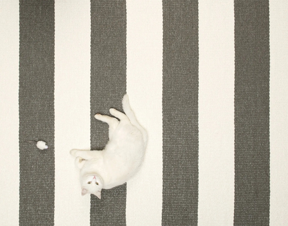 Pappelina Bob matto 70x200 charcoal/vanilla - Laatukaluste