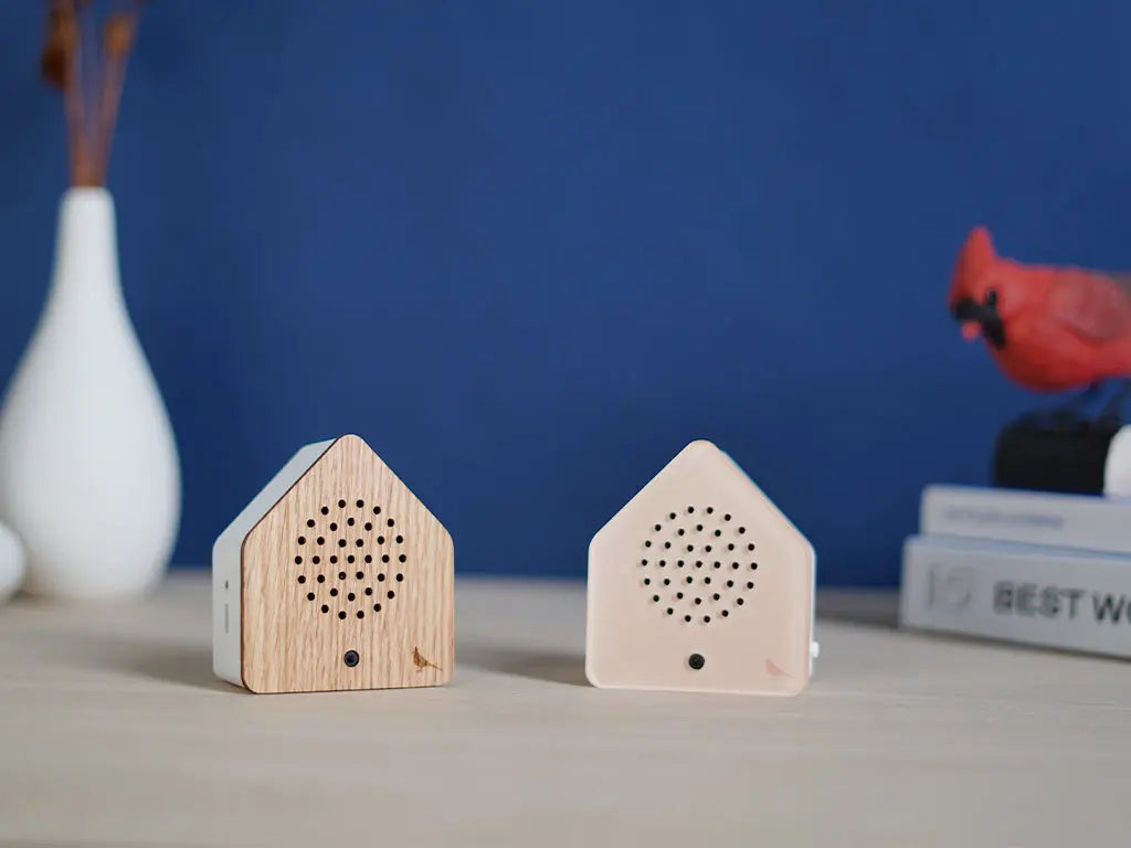 Relaxound Satellitebox Blackbird äänilaatikko tammi Relaxound