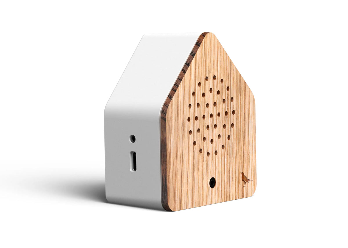 Relaxound Satellitebox Blackbird äänilaatikko tammi Relaxound