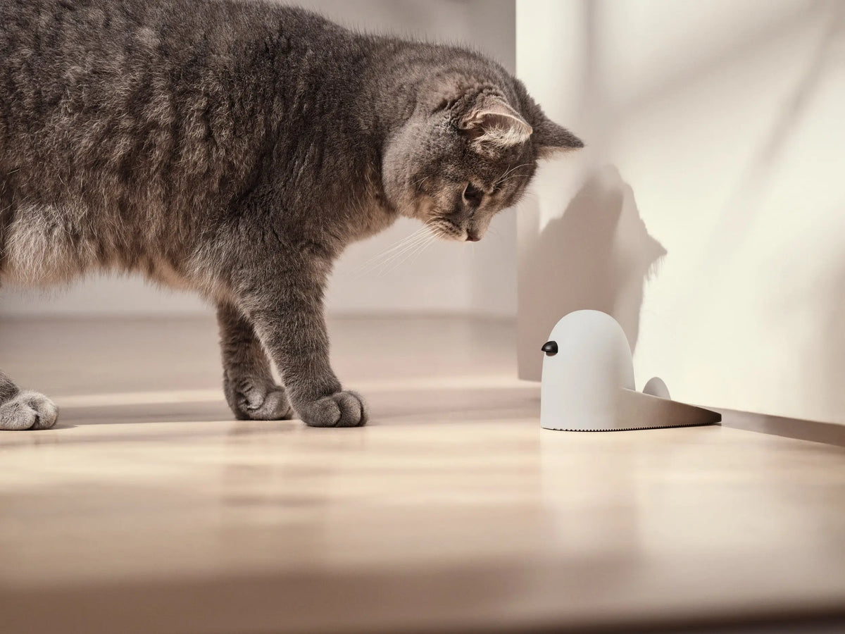 RigTig BOB ovistoppari vaaleanharmaa RigTig