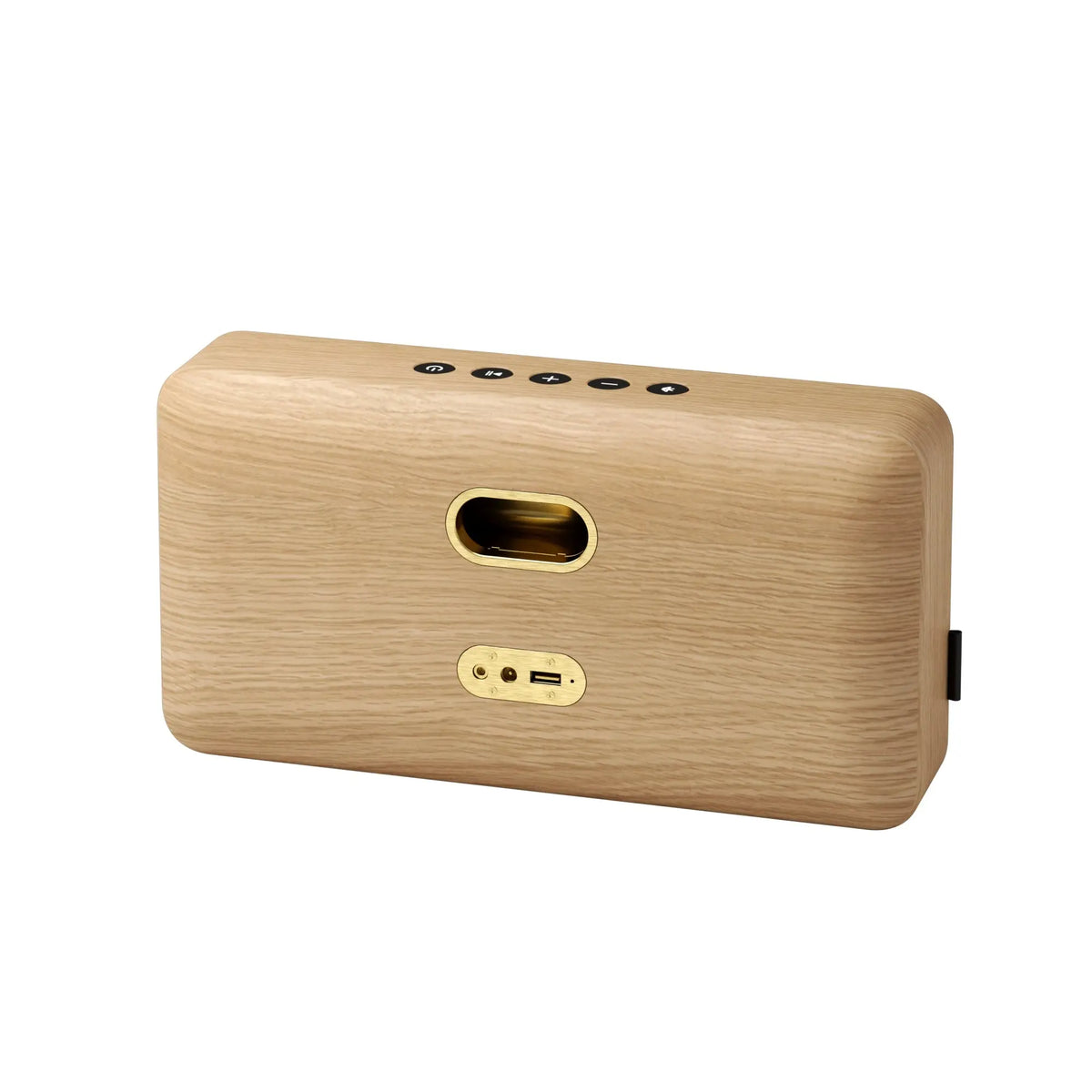 SACKit Move Wood kaiutin tammi SACKit