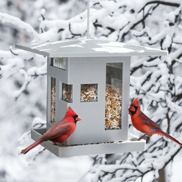 Umbra Bird Cafe lintulauta - Laatukaluste