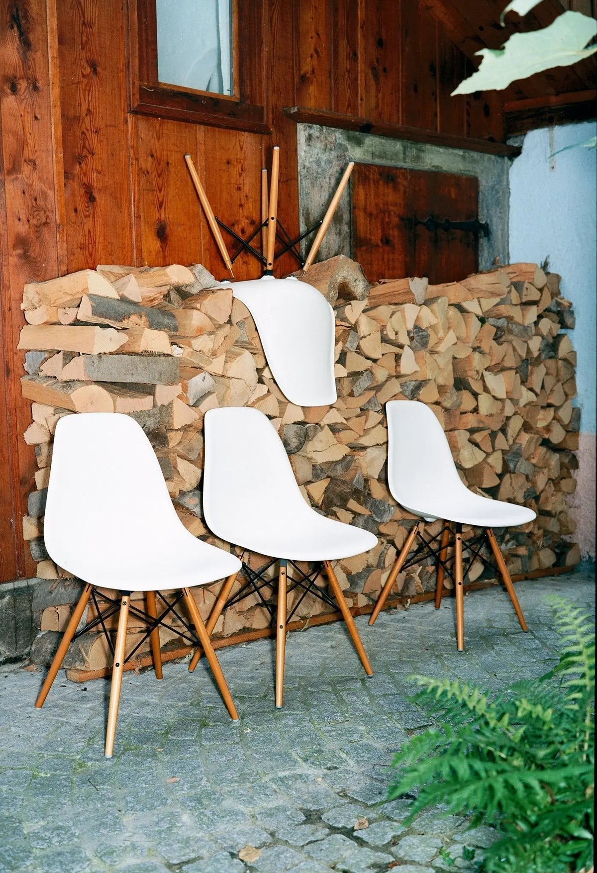 Vitra Eames DSW tuoli valkoinen/vaahtera (vanha materiaali)