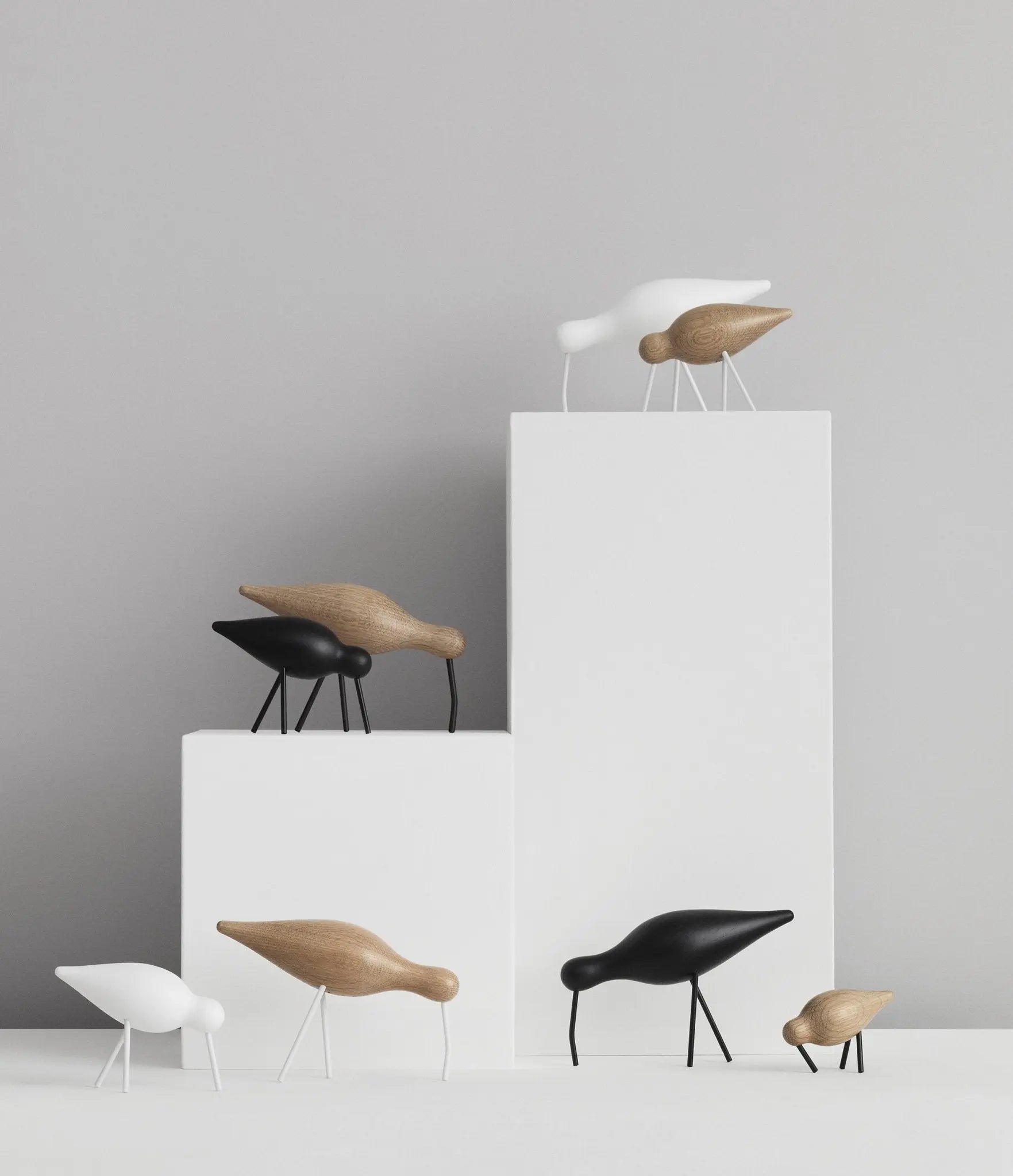 Normann Copenhagen Shorebird S tammi/valkoinen - Laatukaluste